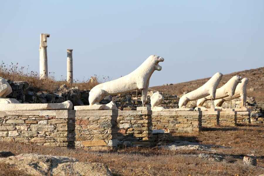 From Mykonos Cruise Port: Afternoon Delos Guided Tour - Museum Time and the 45-Minute Free Exploration Window