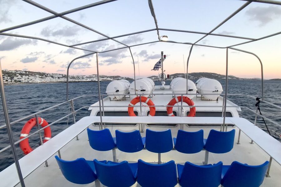 From Mykonos Cruise Port: Delos Guided Tour - Key Highlights You’ll Actually Feel