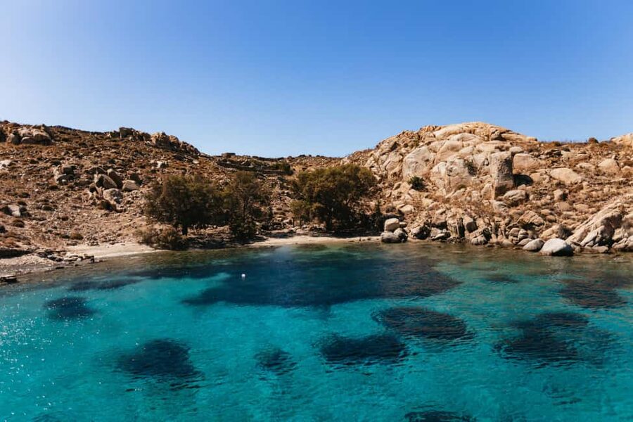From Mykonos: Cruise to Delos and Rhenia with Lunch - The Delos timing that gives you choices, not just chores