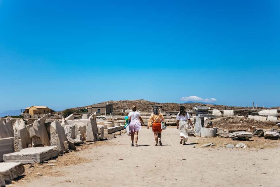 From Mykonos: Cruise to Delos and Rhenia with Lunch - Price and value: what $103 really covers, and what to budget for