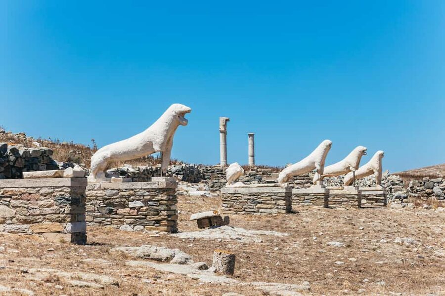 From Mykonos: Cruise to Delos and Rhenia with Lunch - Who should book this Mykonos Delos and Rhenia cruise