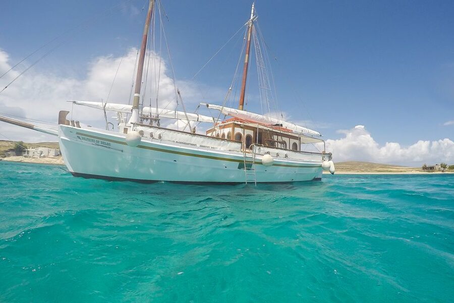 From Mykonos: Delos & Rhenia Islands Half-Day Trip by Boat - From the Old Port to Rhenia, you get the sea day started fast