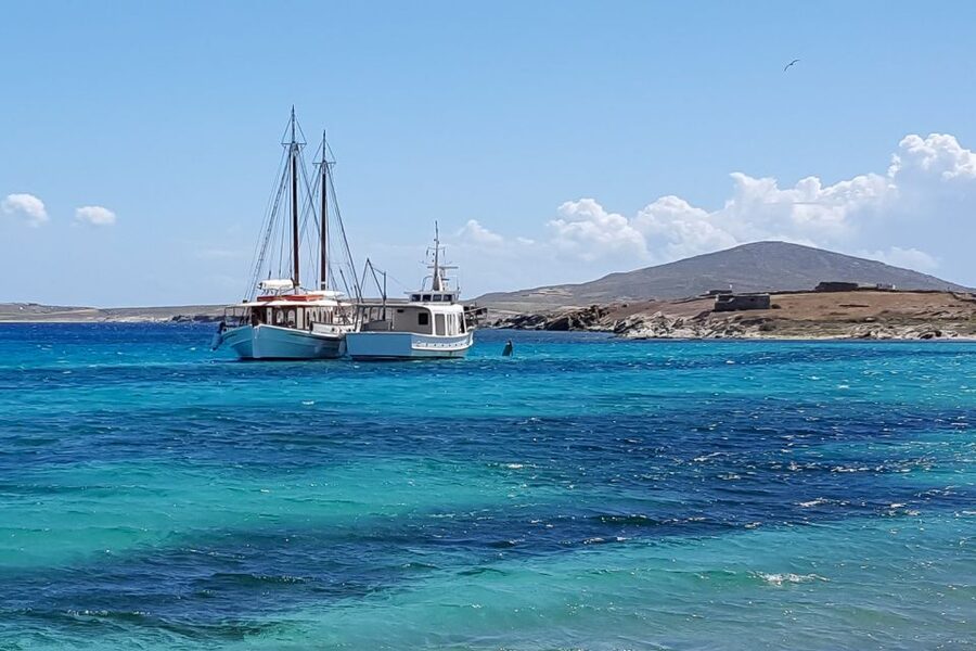 From Mykonos: Delos & Rhenia Islands Half-Day Trip by Boat - Practical packing tips that make the day smoother