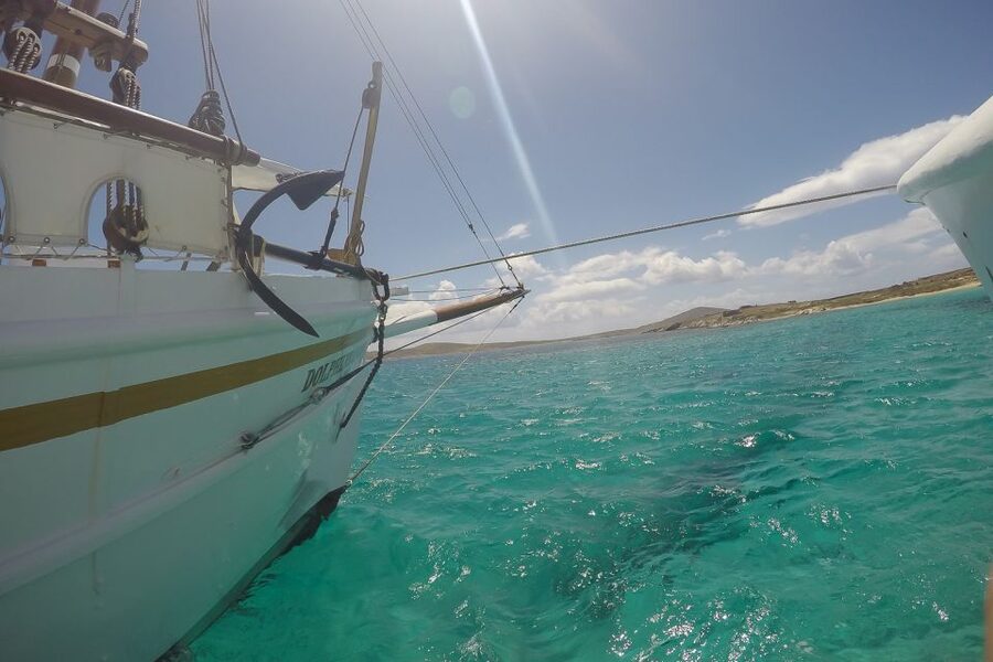 From Mykonos: Delos & Rhenia Islands Half-Day Trip by Boat - Should you book this Delos and Rhenia half-day boat trip?