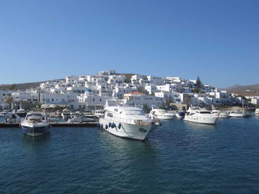 From Naxos: Delos and Mykonos Full-Day Boat Trip - Who this fits, and who should choose something else