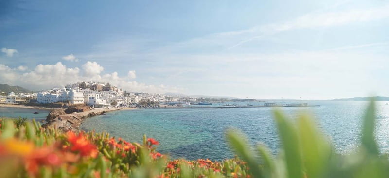 From Naxos: Delos and Mykonos Full-Day Trip - Delos UNESCO: 3 Hours to See More Than a Postcard