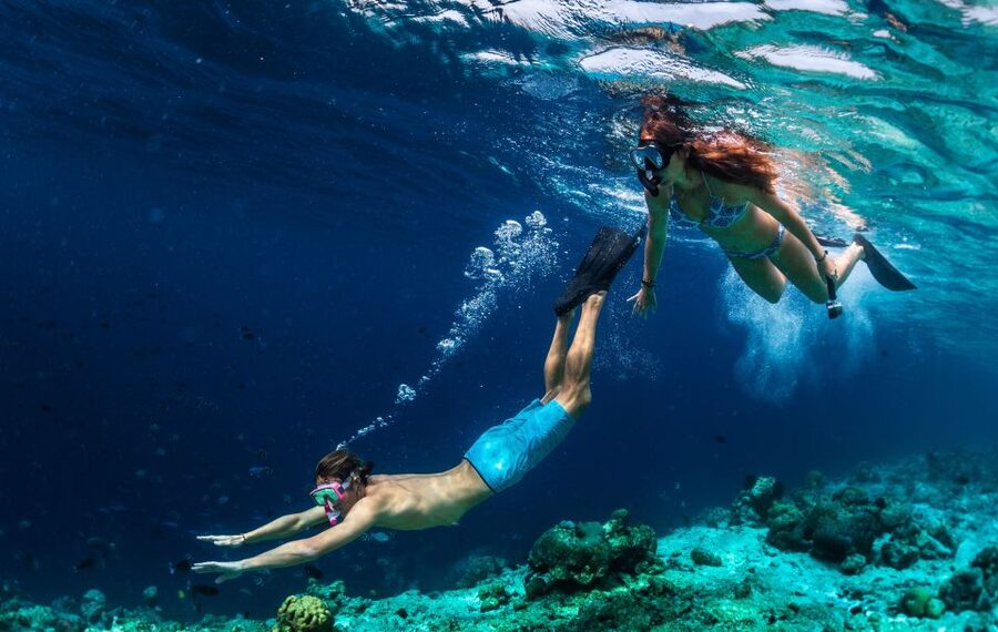 From Nidri: Marine Wildlife Cruise with Lunch and Swim Stops - BBQ lunch onboard, and why it’s part of the value