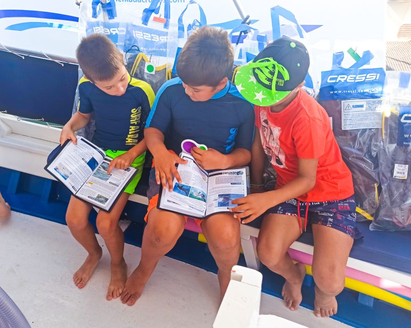 From Nidri: Marine Wildlife Cruise with Lunch and Swim Stops - The little safety and comfort details that make a difference