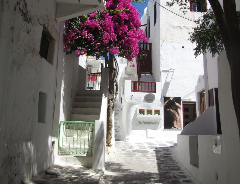 From Paros: Delos and Mykonos Full-Day Boat Trip - Delos entrance fees and guide choices: budgeting the part you control