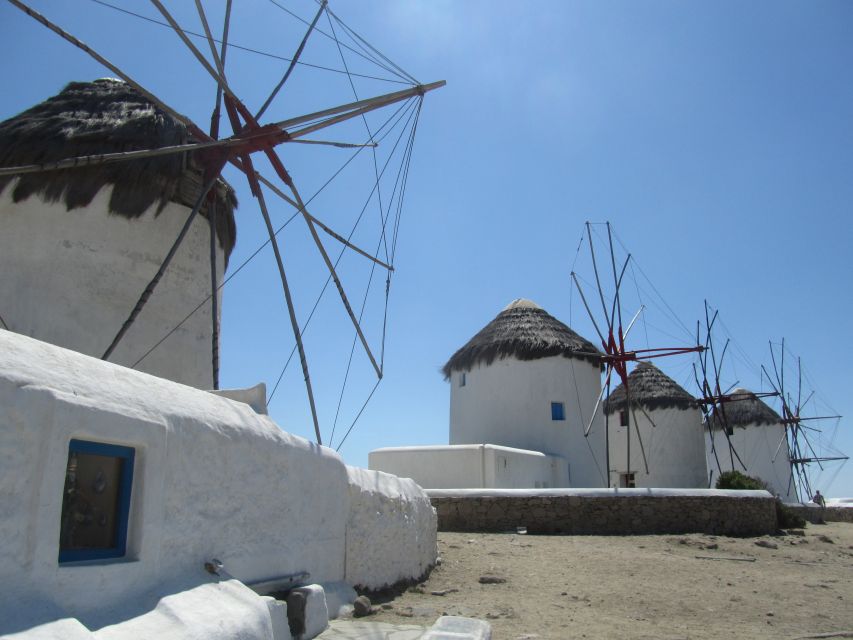 From Paros: Delos and Mykonos Full-Day Boat Trip - Who this Paros to Delos and Mykonos day trip fits best