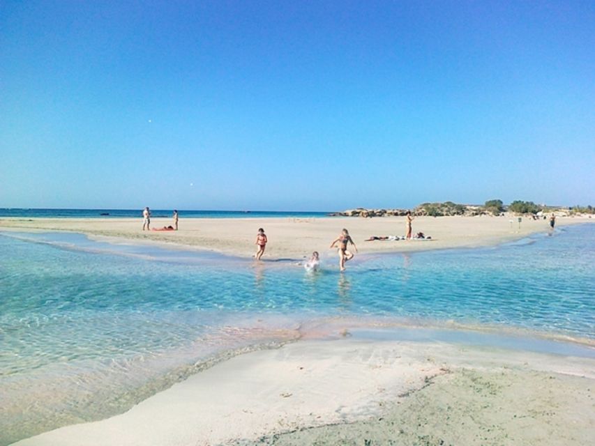 From Rethymno & Chania: Elafonisi Island Day Tour by Bus - Price and value of the $31 ticket