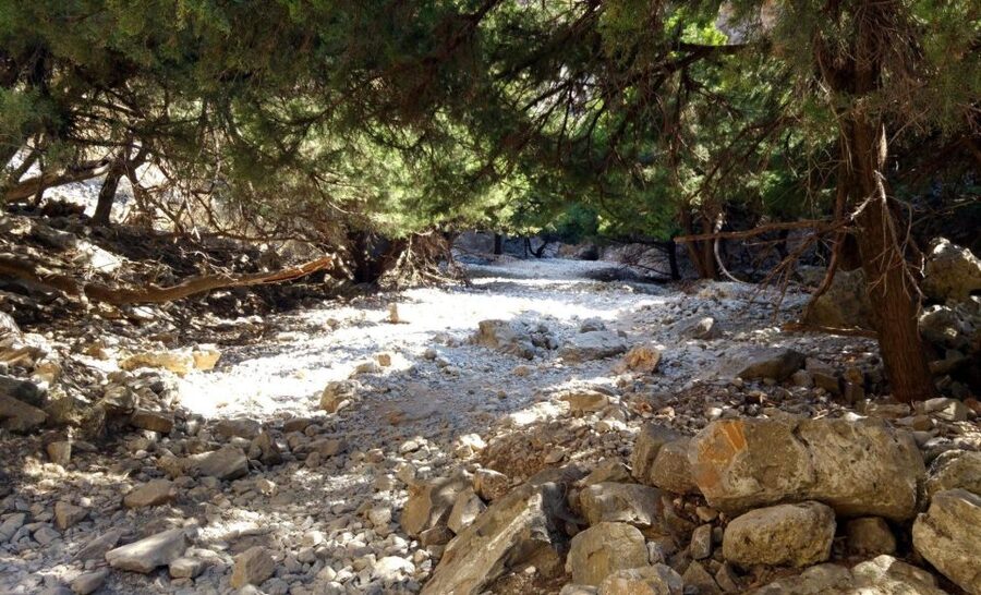 From Rethymno/Chania: Imbros Gorge Hike - Key takeaways before you lace up