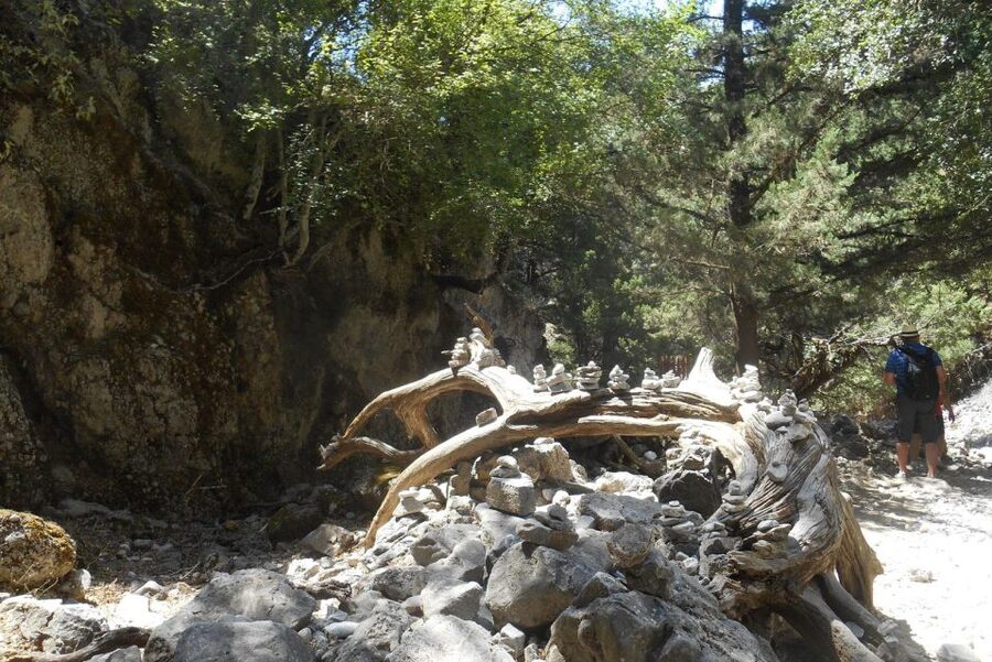From Rethymno/Chania: Imbros Gorge Hike - Imbros Gorge, the cliffs, and that dramatic narrow pinch