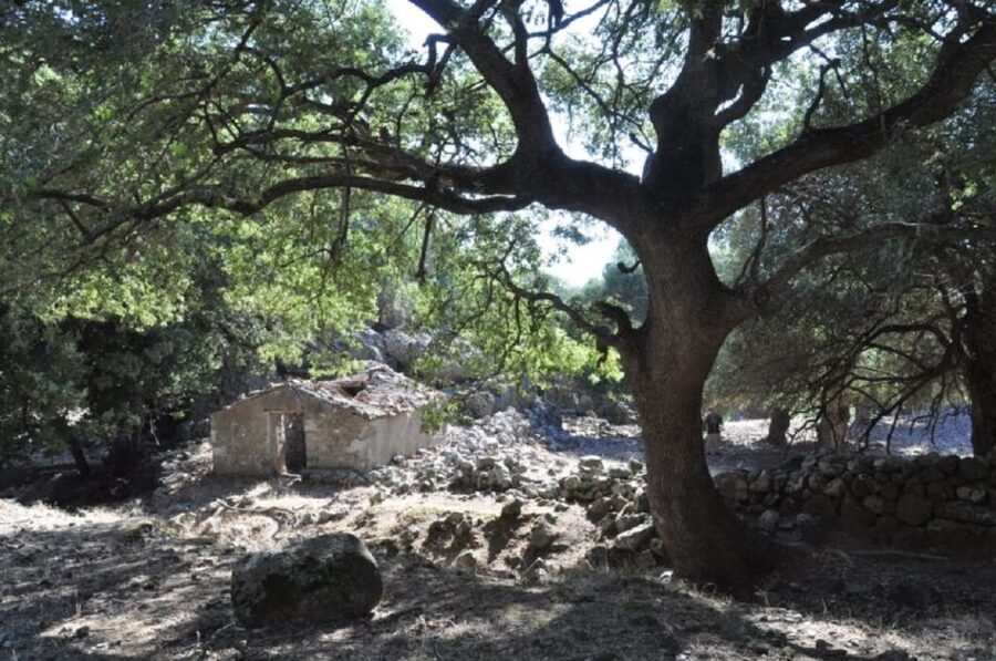 From Rethymno/Chania: Imbros Gorge Hike - What to pack, and how to avoid common hiking mistakes