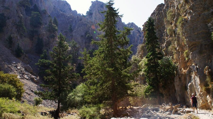 From Rethymno: Imbros Gorge & Libyan Guided Sea Tour - Stenada, Mesofarango, and Xepitira Arch: what these stops mean for your day