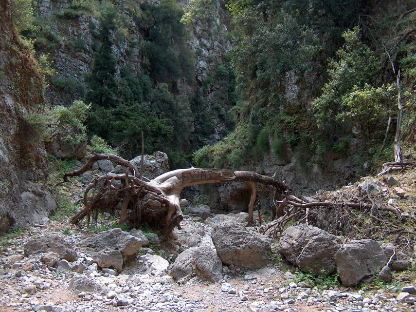 From Rethymno: Imbros Gorge & Libyan Guided Sea Tour - Chora Sfakion stop after Komitades Village: lunch time, sea views, and the clock