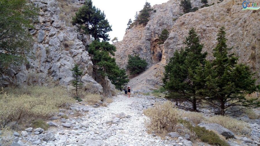From Rethymno: Imbros Gorge & Libyan Guided Sea Tour - Traditional lunch on the south coast: what is included, and what you should expect to pay for