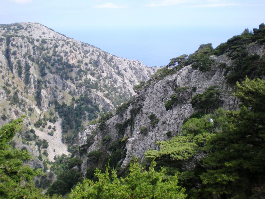 From Rethymno: Imbros Gorge & Libyan Guided Sea Tour - Price and value: what $34 really buys you