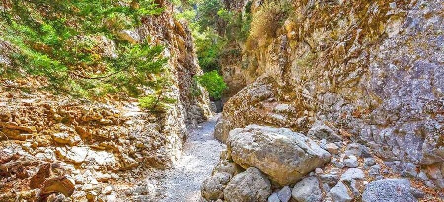 From Rethymno: Imbros Gorge & Libyan Guided Sea Tour - The 7:30 AM pickup, bus ride, and why the timing helps
