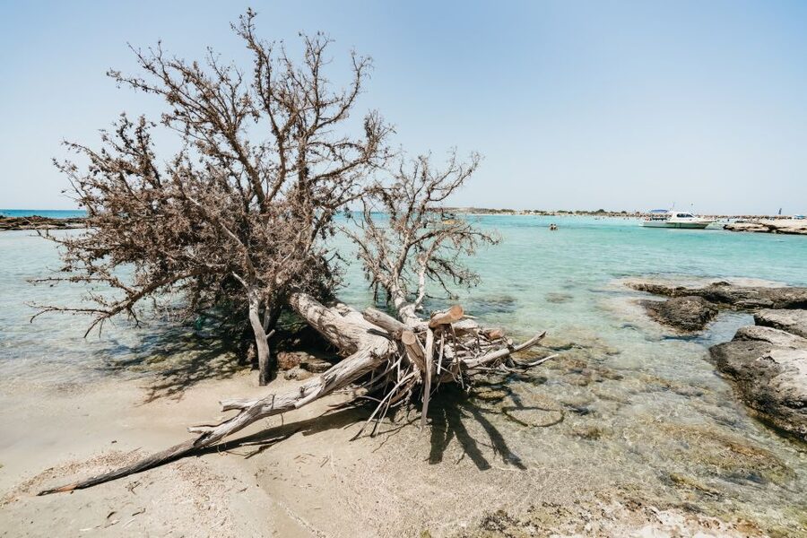 From Rethymno/Kavros: Elafonissi Pink Sand Beach Tour - Morning pickup from Rethymno and the route into Crete’s southwest