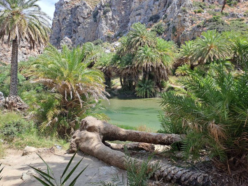 From Rethymno: Kourtaliotiko, Preveli Palm Beach, & Damnoni - The Boat Ride to Preveli Palm Beach: Caves, Coast Views, and a Real Sense of Place