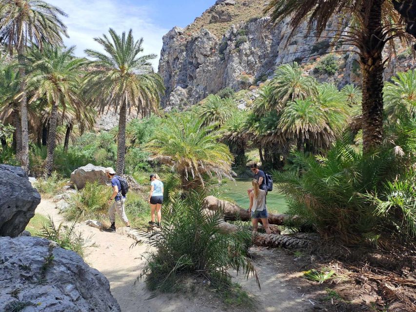 From Rethymno: Kourtaliotiko, Preveli Palm Beach, & Damnoni - Damnoni Again, Then Plakias: Lunch Options and a Sea Town Reset