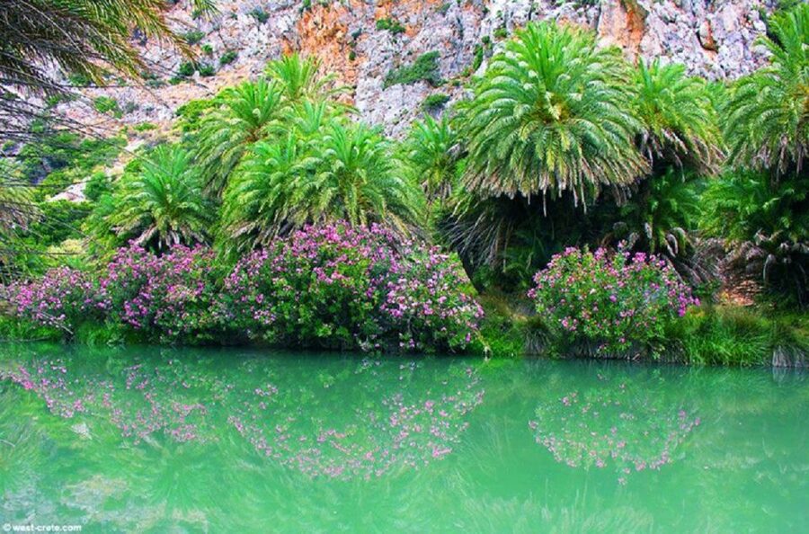 From Rethymno: Preveli Palm Beach and Kourtaliotiko Day Trip - The return drive and drop-off: when the day winds down