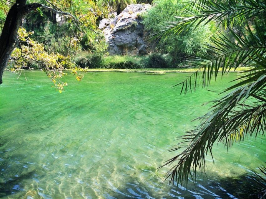 From Rethymno: Preveli Palm Beach and Kourtaliotiko Day Trip - Who this Preveli and Kourtaliotiko day trip fits best