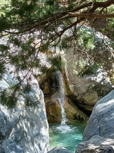 From Rethymno: Samaria gorge with Professional Hiking Guide - Price and what you should budget on top of the $41