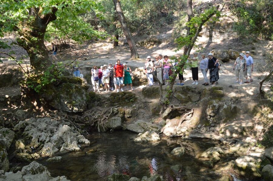 From Rhodes: Bus Tour to Lindos and the Seven Springs - Seven Springs in Hot Summer: What to Do If the Water Is Low