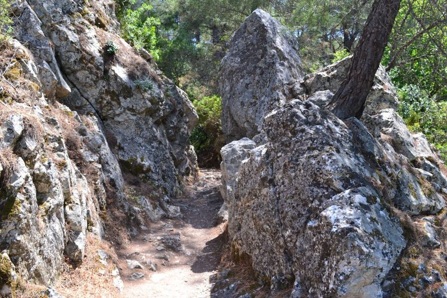 From Rhodes: Lindos and 7 Springs Valley Bus Tour - Price and value: what $31 gets you on a full day
