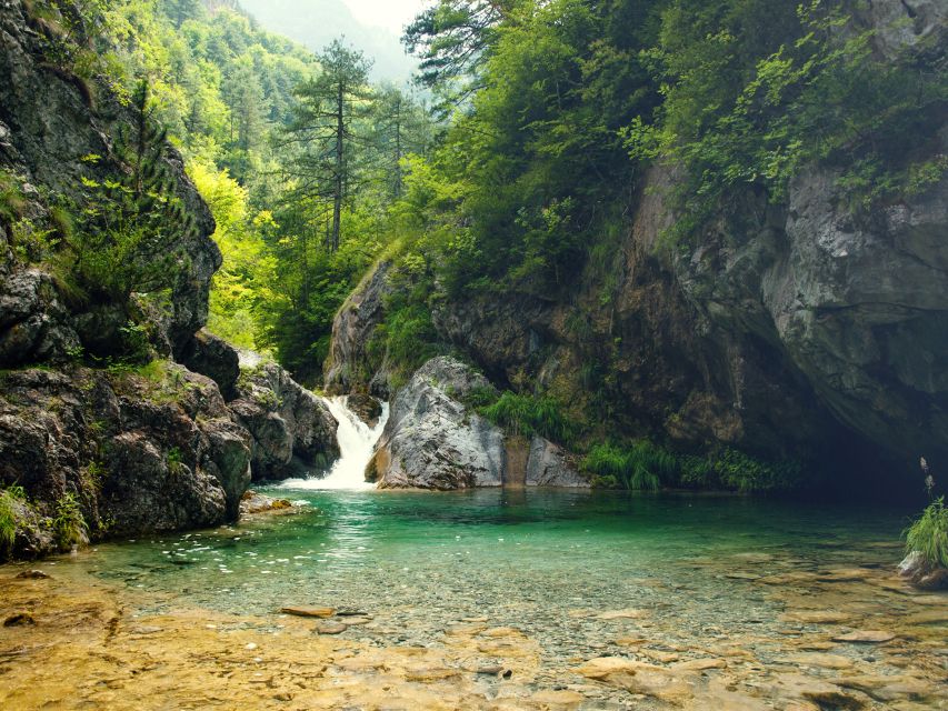 From Thessaloniki: Day Trip to Dion and Mount Olympus Park - Olympus National Park Information Center: get the myths, plus the biology