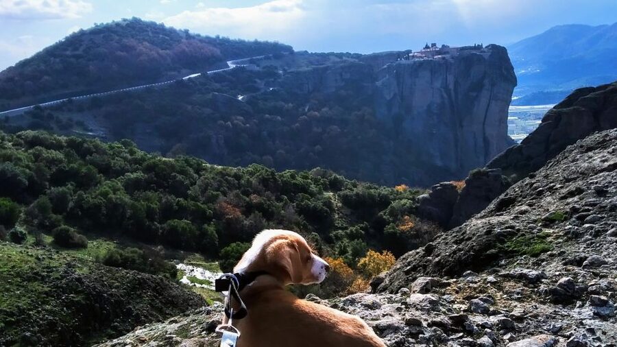 From Thessaloniki: Meteora Small Group Day Trip - Who This Meteora Trip Fits Best (and Who Might Feel Rushed)