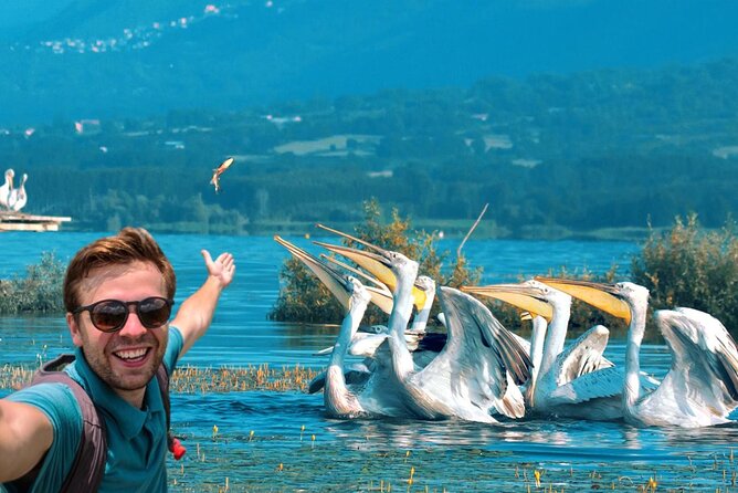 From Thessaloniki: Private Day Trip to Kerkini Lake - Quick hits you can use right away
