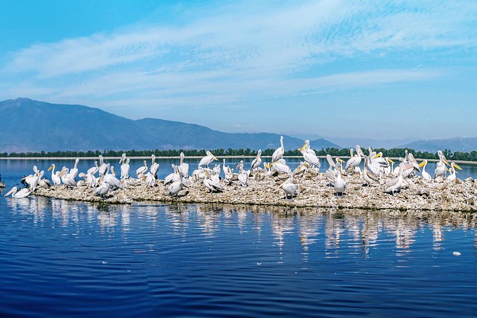 From Thessaloniki: Private Day Trip to Kerkini Lake - Buffalo farm stop and the coffee pause that slows the pace