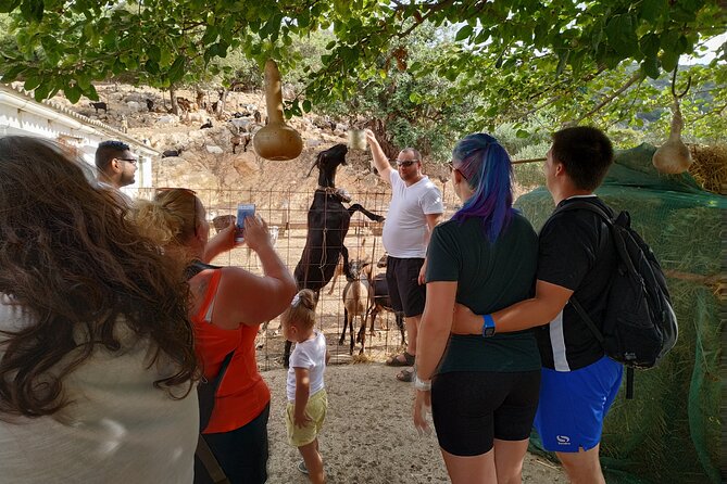 Full-Day Jeep Safari Tour with Cooking Lesson - Psychro pottery workshop: make something you can take home