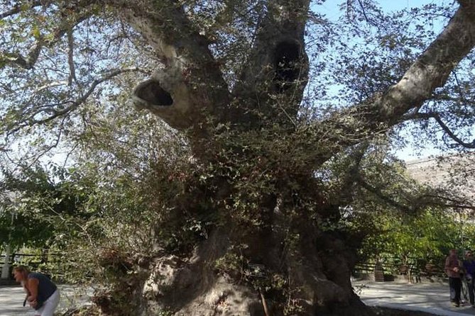 Full-Day Land Rover Safari from Heraklion with Lunch - Psychro, Greek Mythology, and the Zeus Cave Expectation (Entry Fees and Closures)
