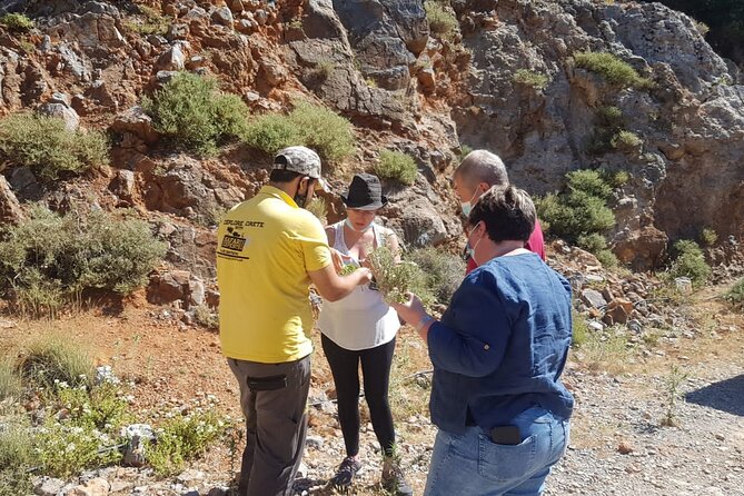 Full-Day Small-Group Tour in Crete with Zeus Cave Visit - Windmills of Lasithi Plateau: The Photo Stop That Teaches You Something