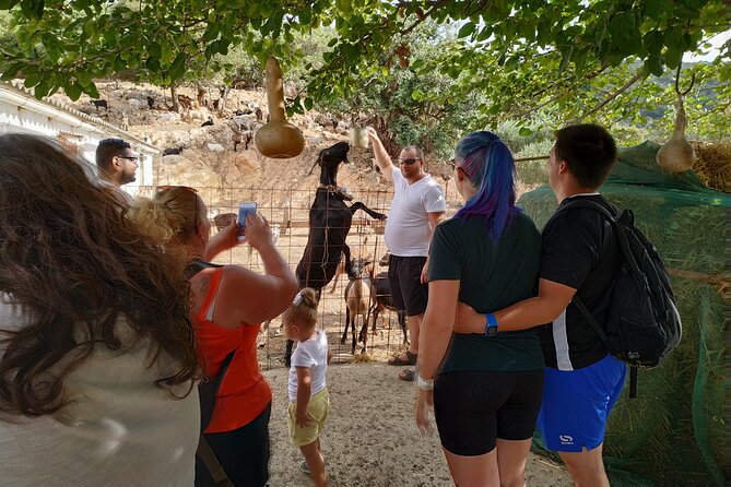 Full-Day Small-Group Tour in Crete with Zeus Cave Visit - Pickup Window: How to Avoid the One Thing That Can Stress You Out