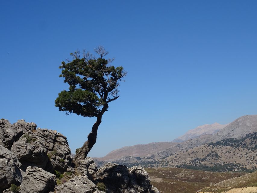 Georgioupolis Full-Day Land Rover Safari Experience - The Secluded South Cretan Sea Beach Swim