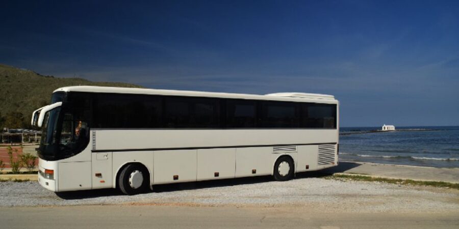 Georgioupolis: Preveli Palm Beach Day Trip by Bus and Boat - Preveli Beach time: palm forest, river edges, and swimming