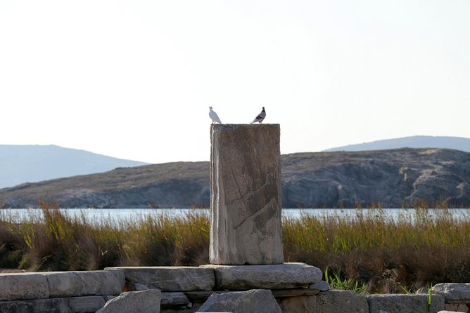 Half-Day Delos Tour from Mykonos - The 3-Hour Guided Walk at Delos: From Myth to Main Street