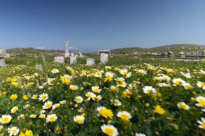 Half-Day Delos Tour from Mykonos - Sacred Lake and the Marble Lions: Closing Image for the Tour