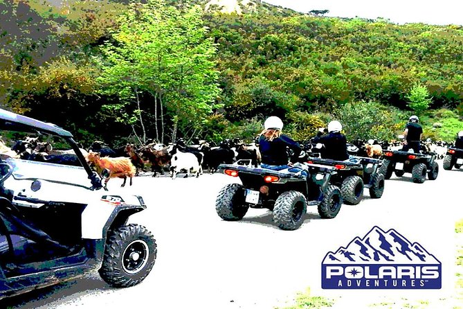 Half-Day Rethymno Quad Safari - Stop 1, Potami Dam Lake: cafe-by-the-water and a breather for your body