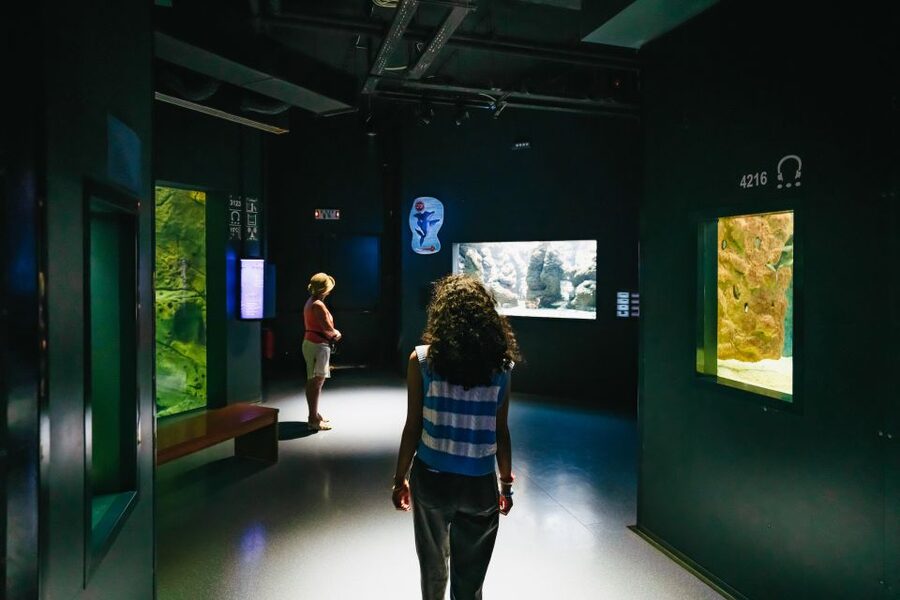 Heraklion Area: CRETAquarium Admission Ticket - How the Aquarium’s Research and Protection Work Shapes Your Visit