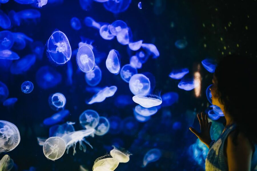 Heraklion Area: CRETAquarium Admission Ticket - The Numbers: 60 Habitats, 2,000-Plus Animals, and 150+ Species