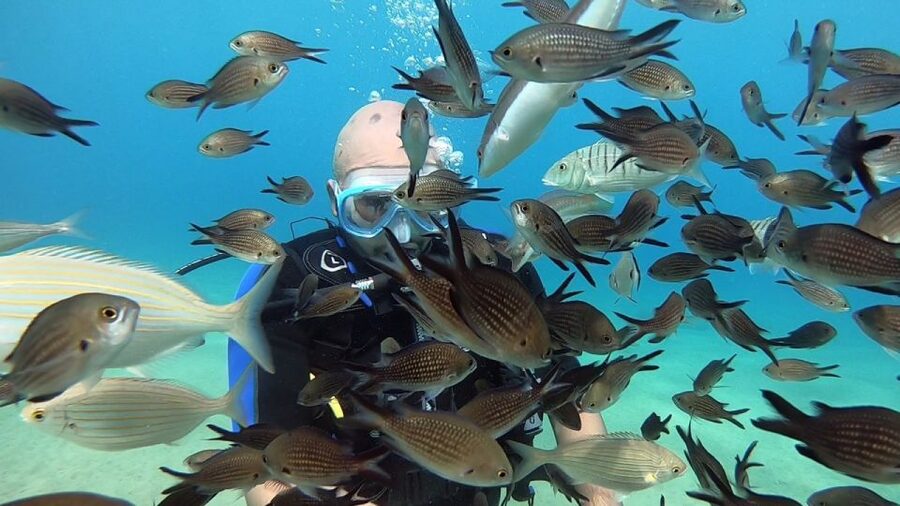 Heraklion: Beginner Scuba Diving Lesson with PADI Instructor - Language Support: How It Helps When You’re Nervous