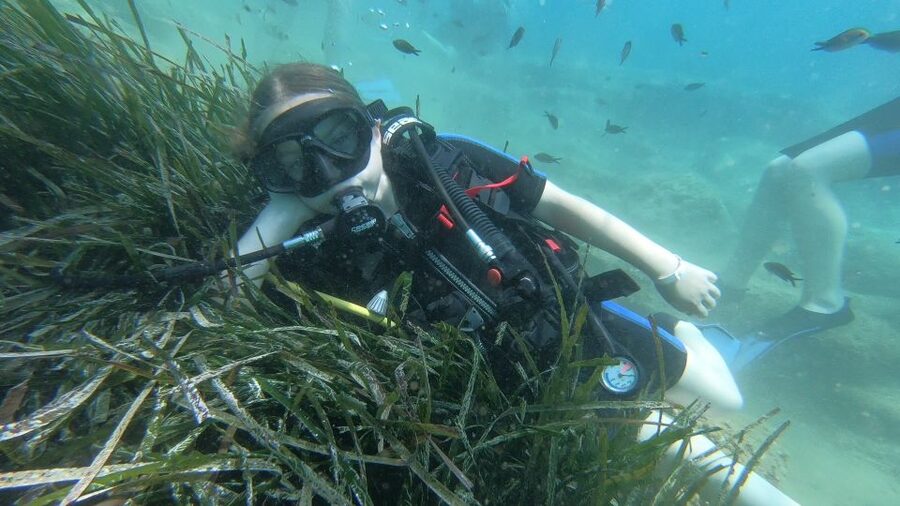 Heraklion: Beginner Scuba Diving Lesson with PADI Instructor - Safety Briefing: What “Supervised” Means in Real Life