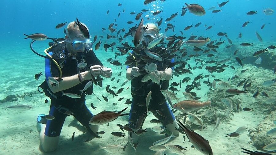 Heraklion: Beginner Scuba Diving Lesson with PADI Instructor - The Shallow Open-Water Session in Agia Pelagia: What You’ll Do Underwater
