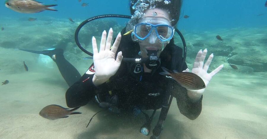 Heraklion: Beginner Scuba Diving Lesson with PADI Instructor - How the 2.5 Hours Actually Move, from Pickup to Agia Pelagia Bay